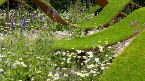 The World Vision Garden at The Hampton Court Palace Flower Show 2016 (© Ellen Rooney/Alamy Stock Photo)