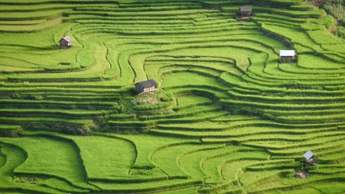 Rice terraces of Mù Cang Chải, Yên Bái province, Vietnam (© Kiatanan Sugsompian/Getty Images)