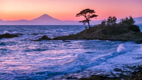 Tateishi Park, Kanagawa Prefecture, Japan (© blew_s/Shutterstock)
