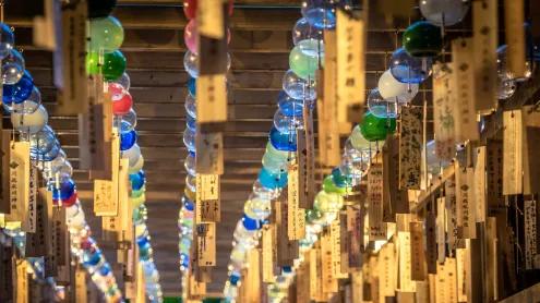 川越氷川神社, 埼玉県 川越市 (© Joshua Hawley/Shutterstock)