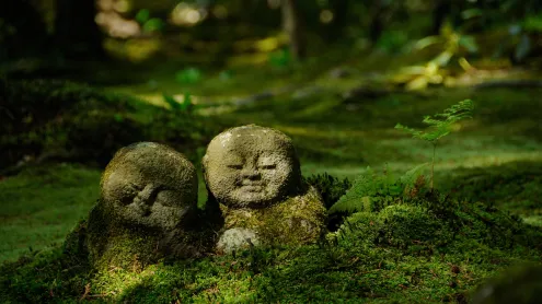 三千院のわらべ地蔵, 京都 (© Klaus-Werner Friedrich/Alamy)