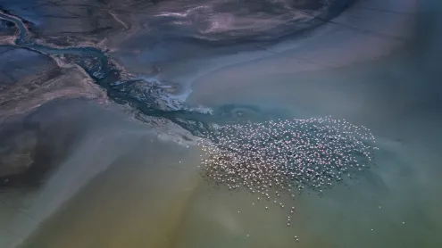 Lesser flamingos flying over Lake Magadi, Kenya (© Vicki Jauron, Babylon and Beyond Photography/Getty Images)