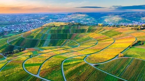 Drohnenansicht der Weinberge im Remstal, Baden-Württemberg (© Westend61/Getty Images)