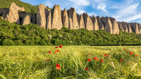 Les Pénitents des Mées, Alpes-de-Haute-Provence (© Cavalier Michel/Hemis/Alamy Stock Photo)