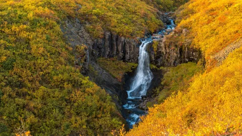 Waterfall in Skaftafell, Vatnajökull National Park, Iceland (© Nopasorn Kowathanakul/Getty Images)