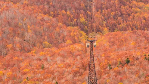 秋の八甲田ロープウェイ,  青森県 青森市 (© Torsakarin/Getty Images)