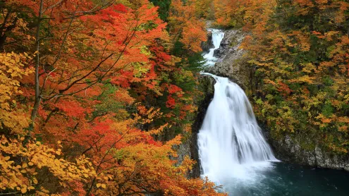 紅葉に包まれた法体の滝, 秋田県 由利本荘市 (© nattya3714/Getty Images)