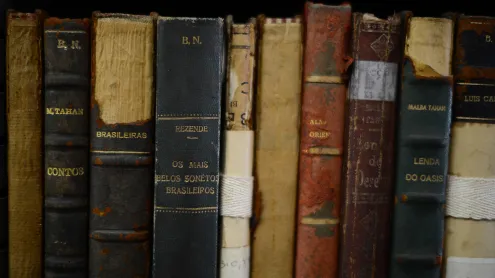 Vista de livros antigos na Biblioteca Nacional Brasileira no Rio de Janeiro (© CHRISTOPHE SIMON/AFP via Getty Images)