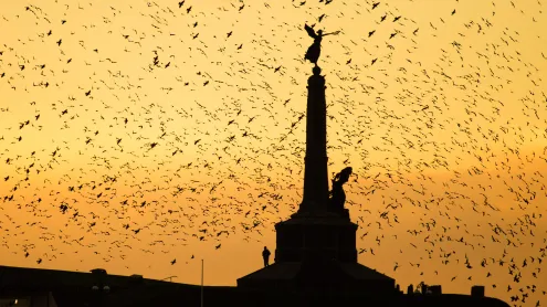 Aberystwyth war memorial, Wales (© ffotocymru/Alamy Stock Photo)