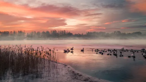 Gefrorener See bei Wintersonnenaufgang, Deutschland (© Marc_Osborne/Getty Images)