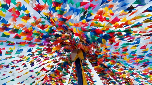 Festival no nordeste do Brasil (Bahia) (© Franz Tagore Photographer/Getty Images)