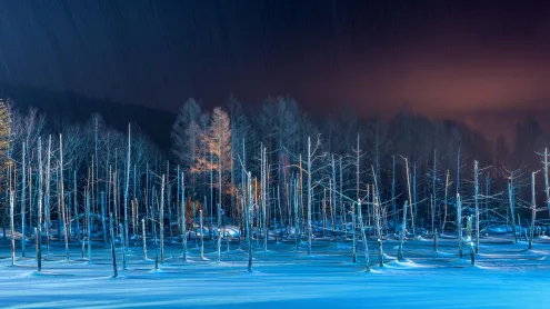 ライトアップされた青い池, 北海道 美瑛町 (© Sean Pavone/Alamy Stock Photo)