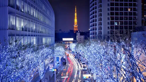 けやき坂のイルミネーション, 東京 (© Kinsei-TGS/Getty Images)