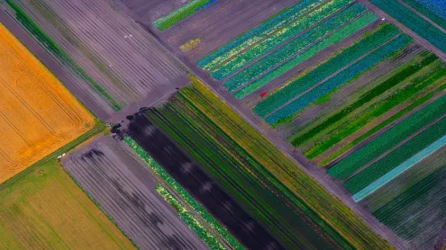 Blick auf Felder, Luftaufnahme, Bayern (© Westend61 GmbH/Alamy)