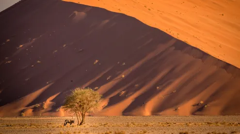 Sossusvlei sand dunes, Namib desert, Namibia (© Airpano/Amazing Aerial Agency)