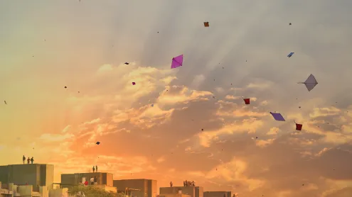 Sky full of kites (© anand purohit/Getty Images)