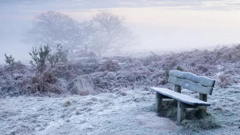Ashdown Forest, East Sussex, England (© Mark Holme photo/Alamy Stock Photo)