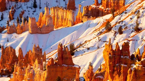 Sandstone hoodoos, Bryce Canyon National Park, Utah (© Stephen Matera/TANDEM Stills + Motion)
