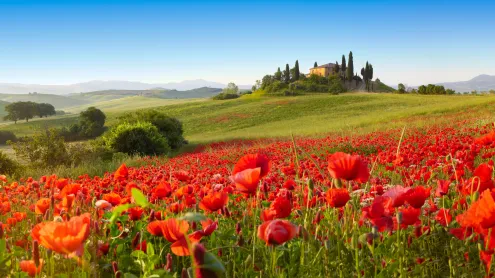 San Quirico d’Orcia, Toscana (© Fabio Muzzi/Connect Images/Alamy Stock Photo)