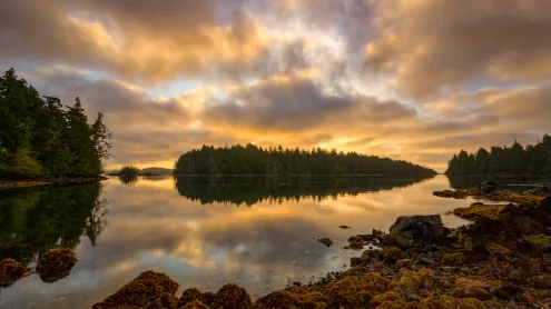 Broken Group Islands, Pacific Rim National Park Reserve, Vancouver Island, British Columbia (© Ron Watts/Design Pics/Getty Images)