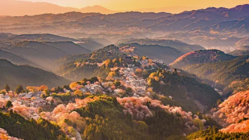吉野山の桜, 奈良県 吉野郡 (© Sean Pavone/iStock/Getty Images Plus)