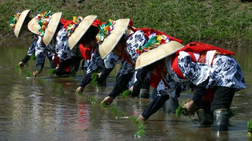 香取神宮の田植え祭, 千葉県 香取市 (© Junko Kimura/特派員/Getty Images)