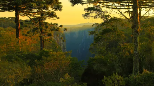 Cânion Itaimbezinho, Rio Grande do Sul, Brasil (© agustavop/iStock/Getty Images Plus)