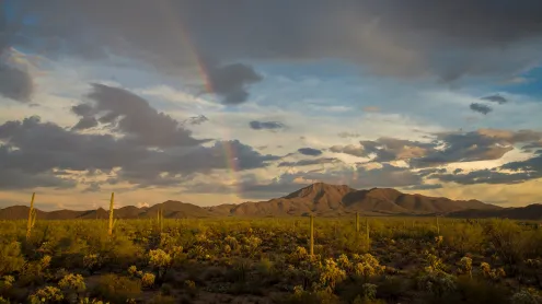 Rainbow over Wasson Peak, Saguaro National Park, Arizona (© Frank Staub/Getty Images)