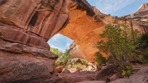 Kachina Bridge, Natural Bridges National Monument, Utah (© Alan Majchrowicz/Getty Images)